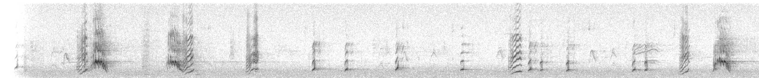 Black-throated Magpie-Jay - ML644973142