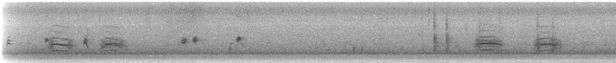 Пастушок віргінський - ML644973542