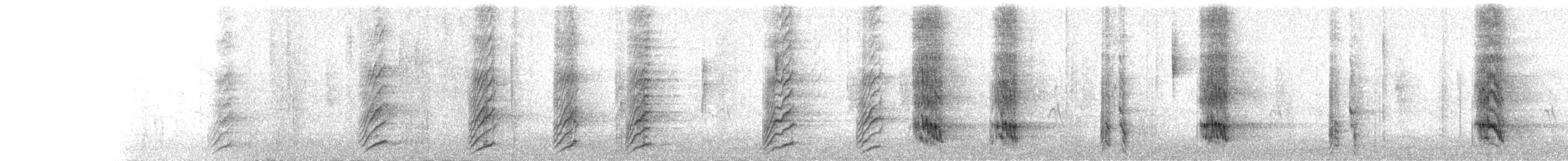 Black-throated Magpie-Jay - ML644973704