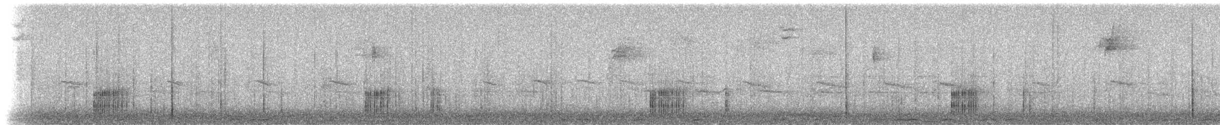 Pacific chorus frog - ML644974293