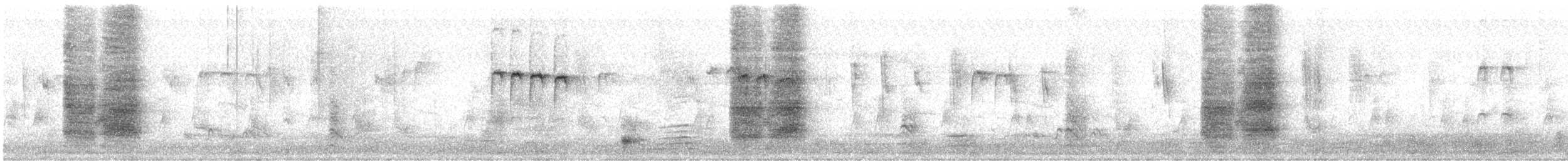 Black Drongo - ML644974344