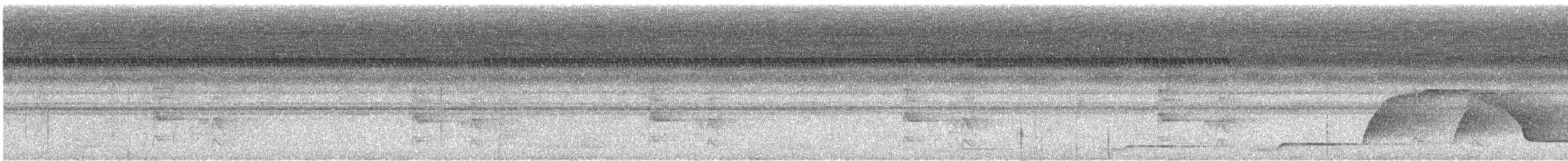 Пію темногузий - ML644974435