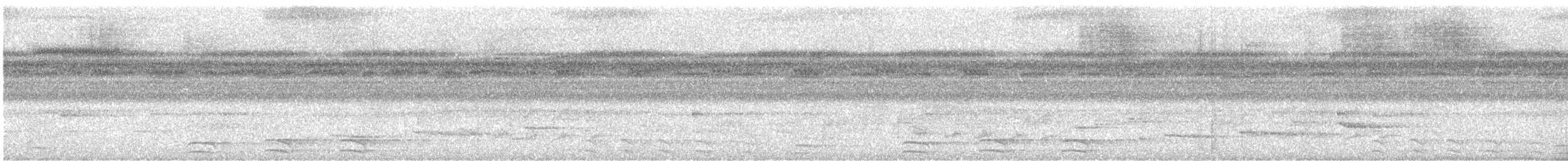 Рарія венесуельська - ML644974449