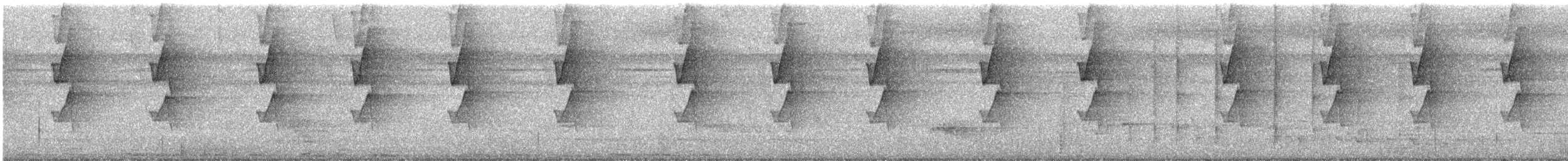 Ерміт мексиканський - ML644974765