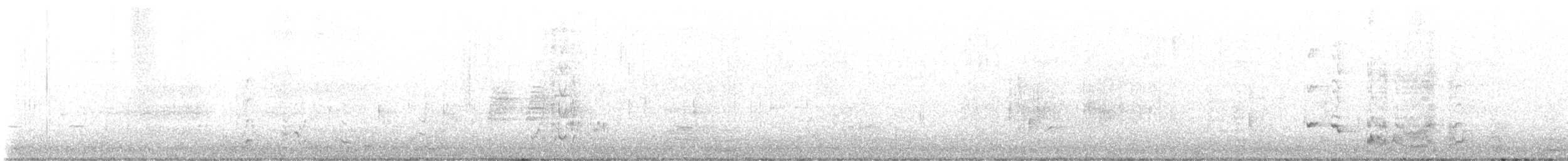 Сорочиця сіроспинна - ML644975521