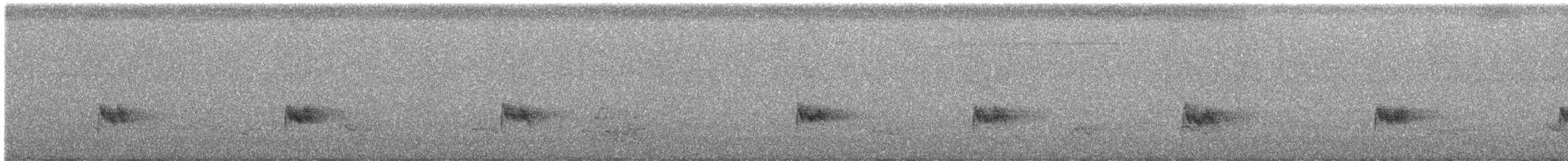 White-breasted Wood-Wren - ML644977042