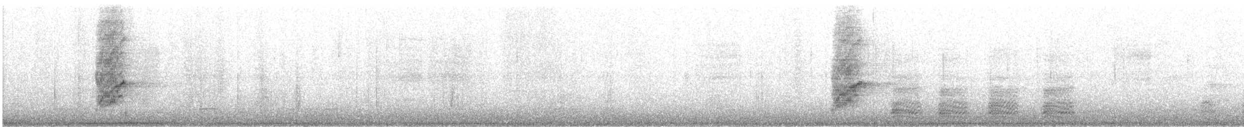 California Scrub-Jay - ML644977494