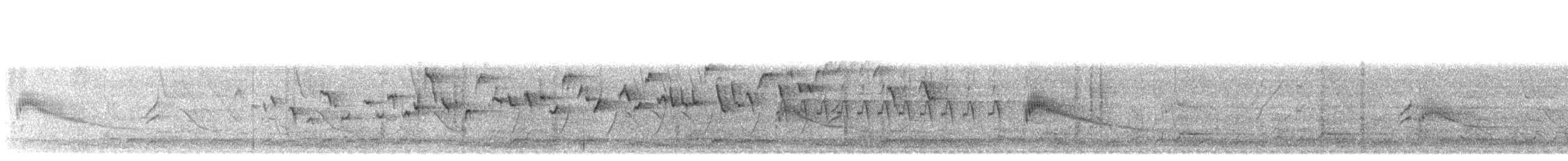 střízlík kanadský - ML644977930