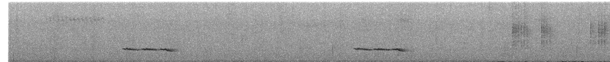 White-breasted Wood-Wren - ML644978500