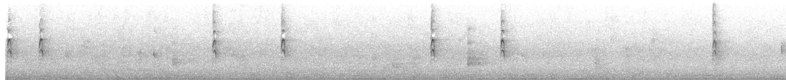 Серая веерохвостка (albiscapa) - ML644979541