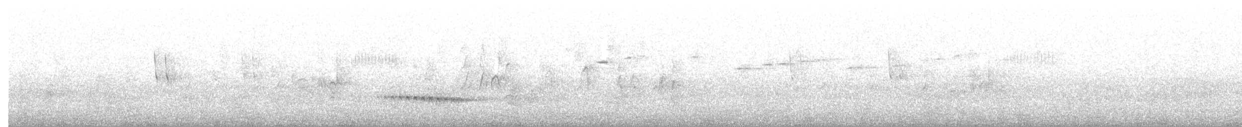 Веерохвостая кукушка - ML644979626