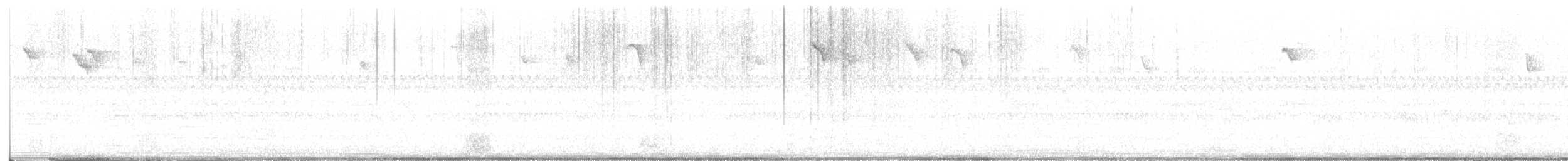 Американская гренадерка - ML644979890