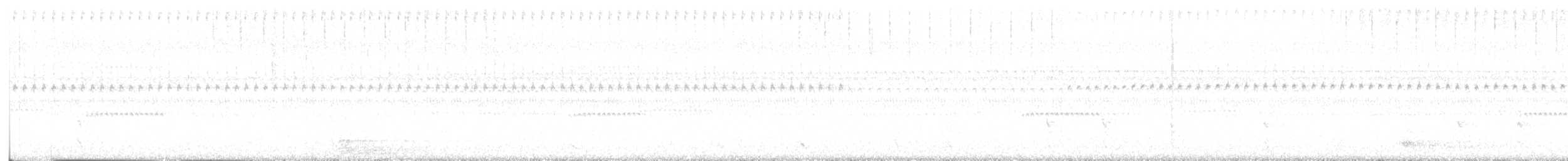 Каролинский дятел - ML644979895