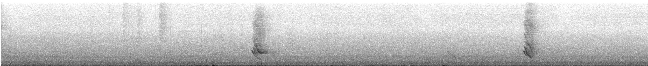 Зелёная инжирница - ML644980013