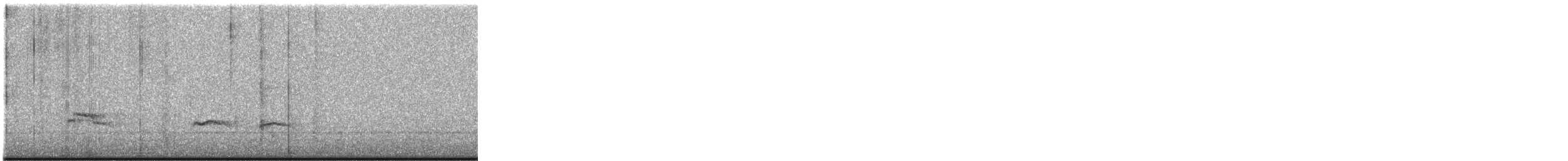 Пёстрый пыжик - ML644980064