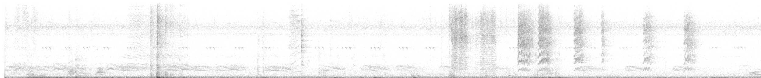 Gelbbauch-Saftlecker - ML644980201