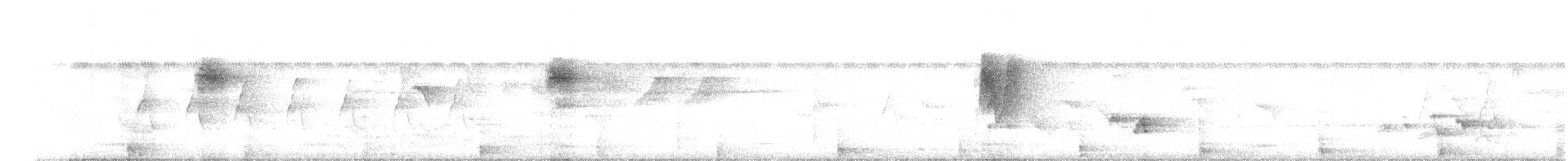 budníček žlutavý - ML644980548