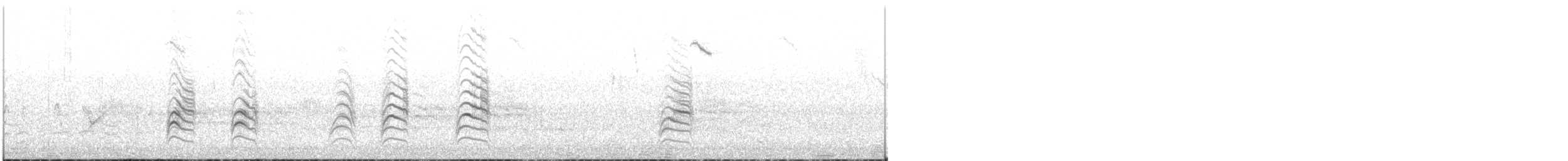 lasolet bělobřichý - ML644980985