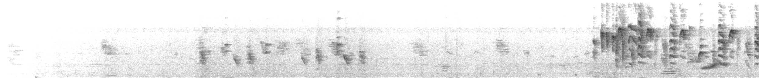 strdimil vlaštovčí - ML644980991