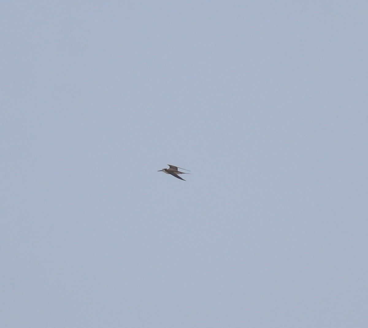 tøyleterne - ML644982174