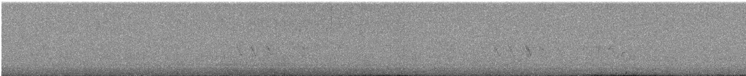 Acentor Alpino - ML644982222