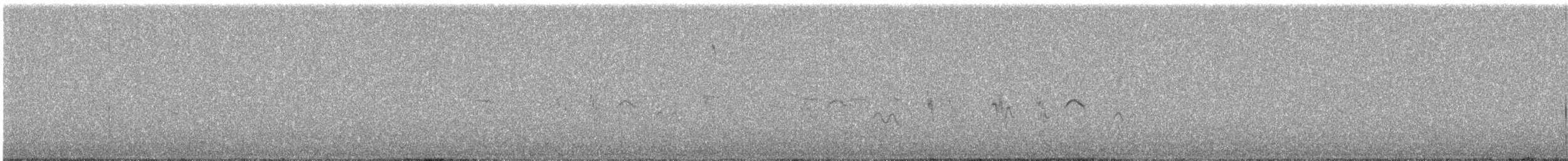 Acentor Alpino - ML644982282