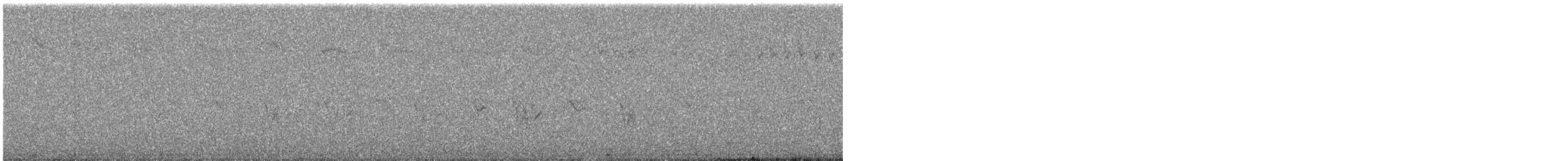 Acentor Alpino - ML644982289