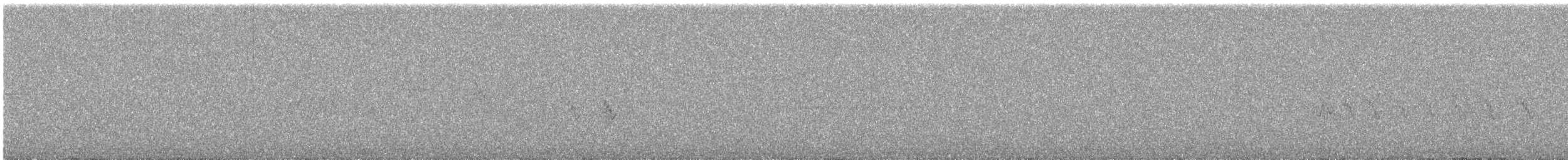 Acentor Alpino - ML644982300