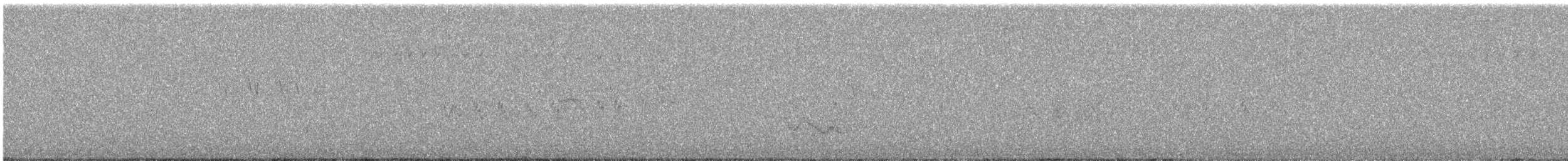 Acentor Alpino - ML644982313