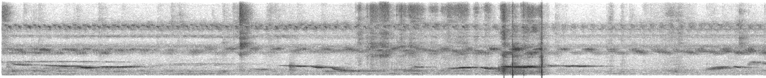 Arrenga Indio - ML644982387