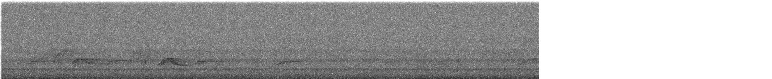 Aigle noir - ML644982476