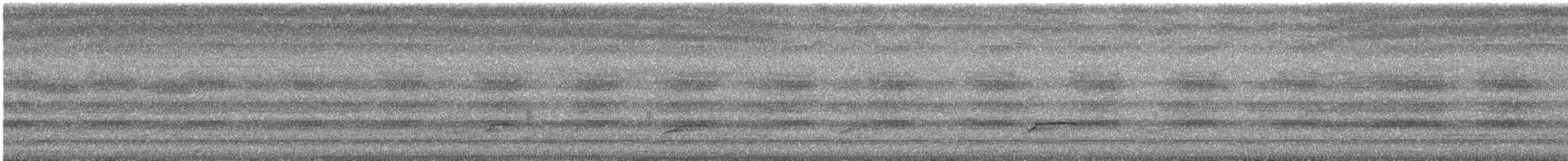 Aigle noir - ML644982482