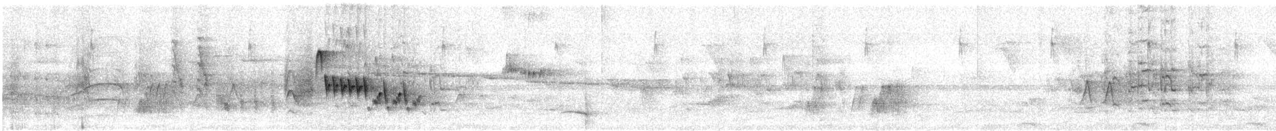 Southern House Wren - ML644982680