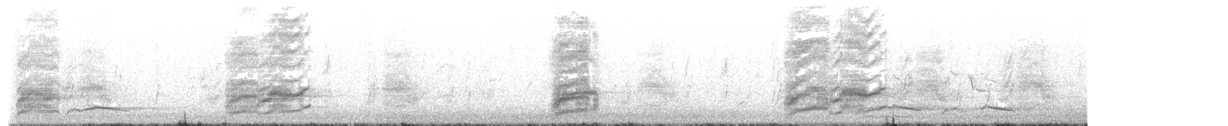 Apostlebird - ML644982891