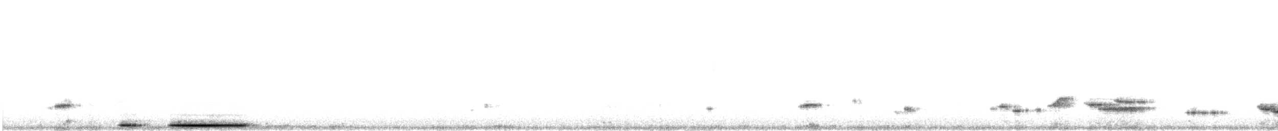 White-tipped Dove - ML644982971