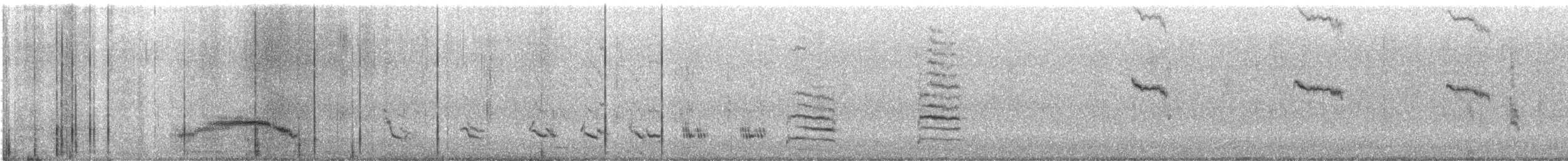 Northern Mockingbird - ML644983799