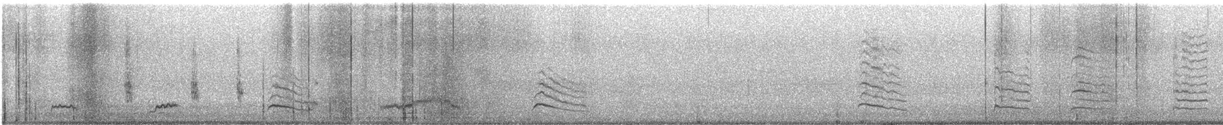 Northern Mockingbird - ML644983803