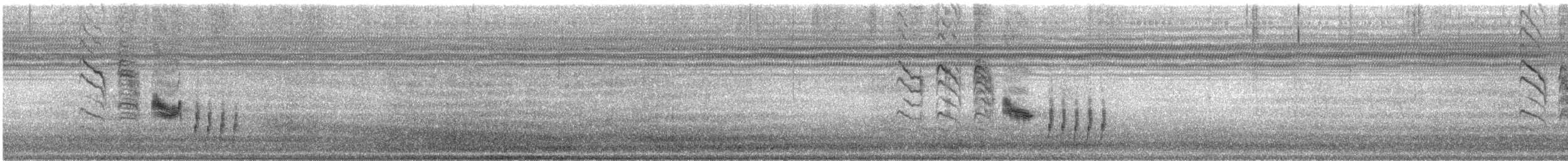 Rattling Cisticola - ML644984173