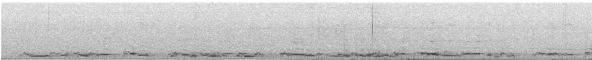 Australian Magpie (Black-backed) - ML644984174