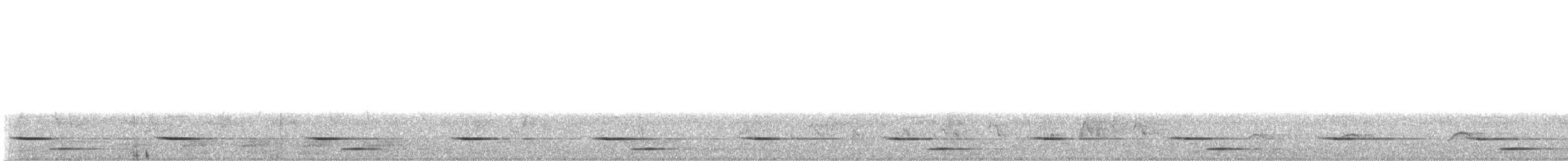 Tropical Boubou - ML644984264