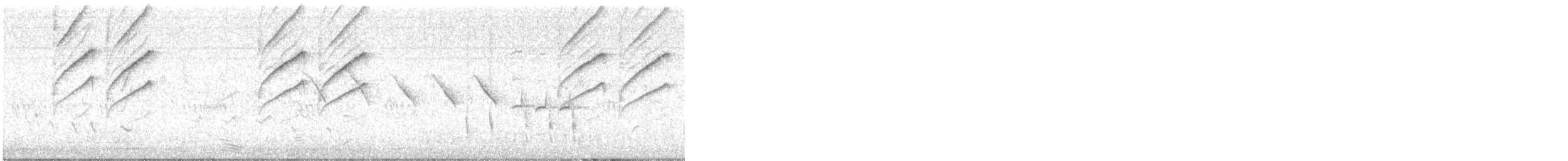 Southern Cordonbleu - ML644984308