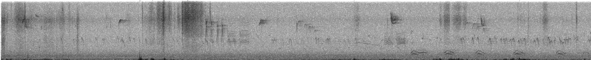 Red Crossbill - ML644984658