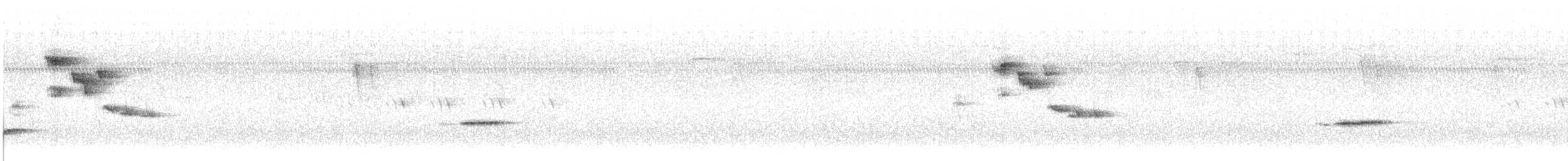 Pale-chinned Flycatcher - ML644984716