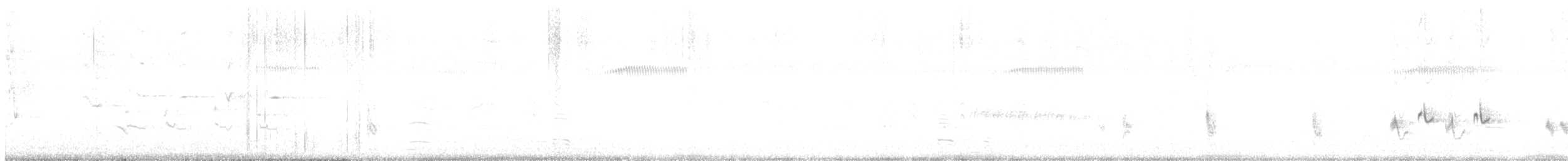 Lewin's Rail - ML644986348