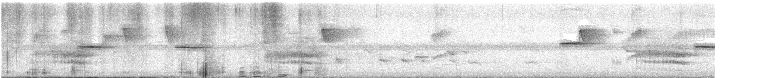 Barbu géant - ML644987350