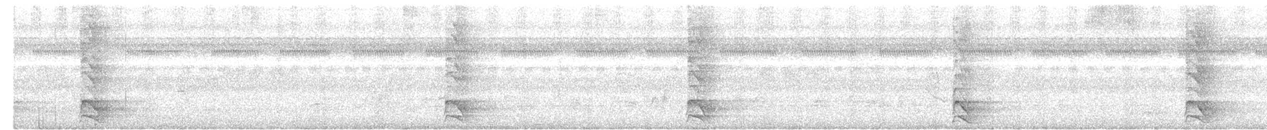 White-bellied Woodpecker - ML644988217