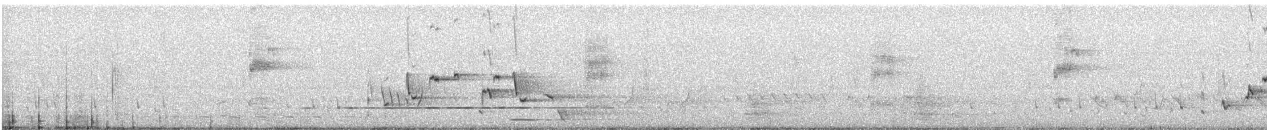 Willie-wagtail - ML644988662