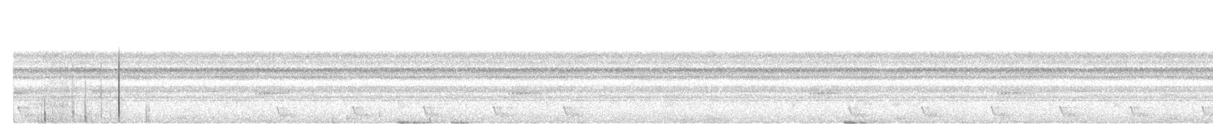 Large-tailed Nightjar - ML644988756