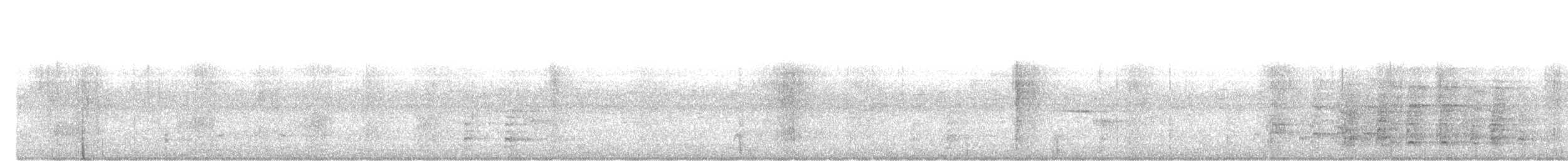 Oriental Pied-Hornbill - ML644988775