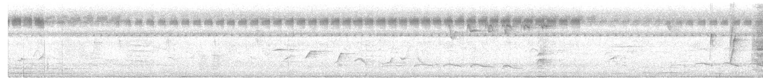 Dollarbird - ML644988802